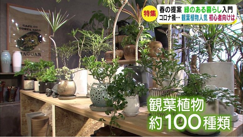 フラワーカーペンターズ(長野県松本市)