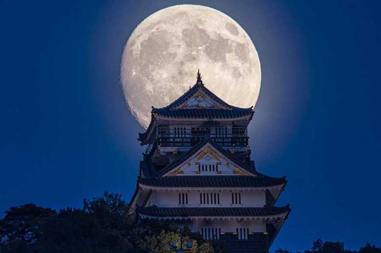 撮影:小林淳さん 撮影日:2017年9月4日