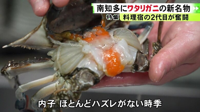 ニュースONE