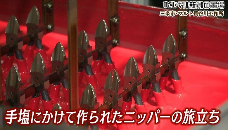 製品は世界30か国以上に出荷