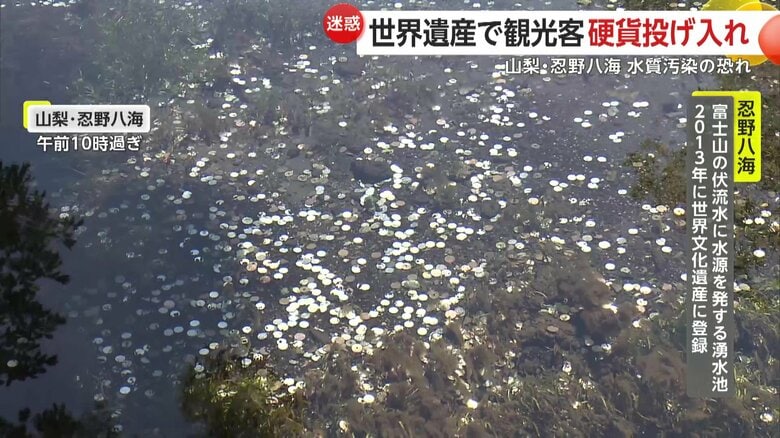 池の底には大量の硬貨が見える