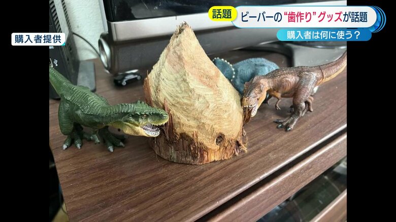 画像提供：「ビーバーの木」購入者