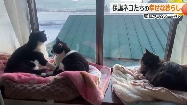 穏やかな朝