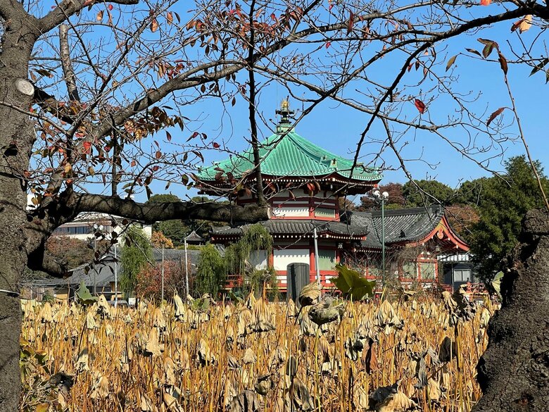 現在の弁天堂（上野公園・不忍池畔）