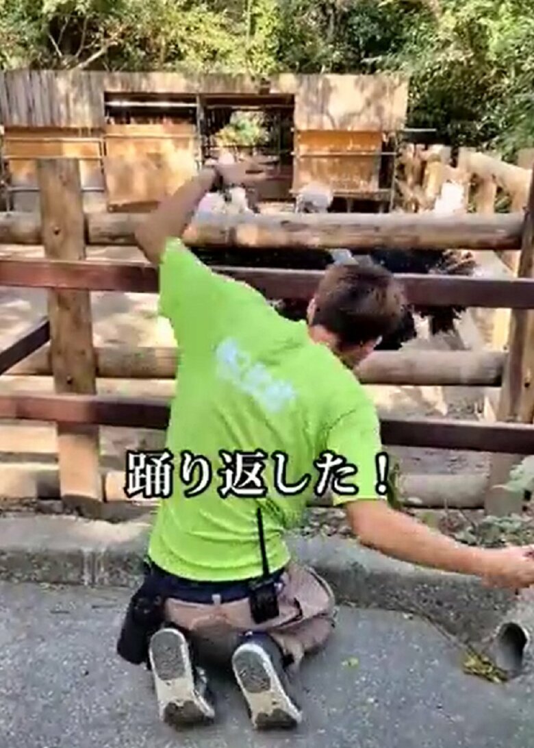 キョウちゃんが躍り返してくれた！