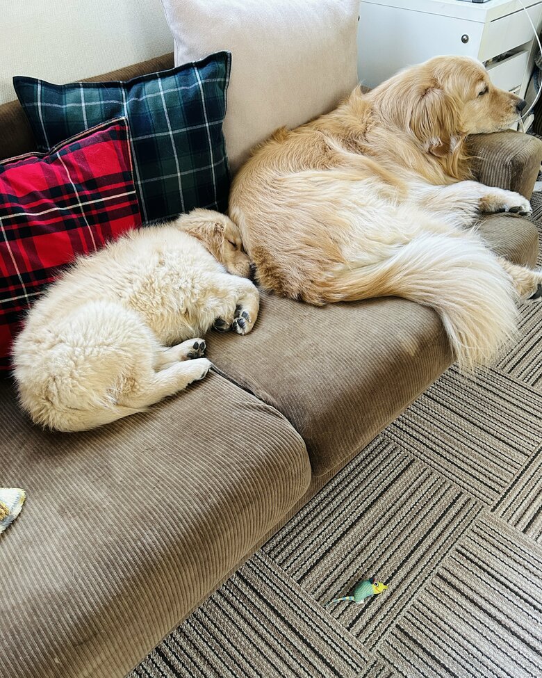 提供：efrinmanさん