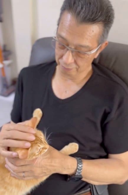 提供：cohakuさん
