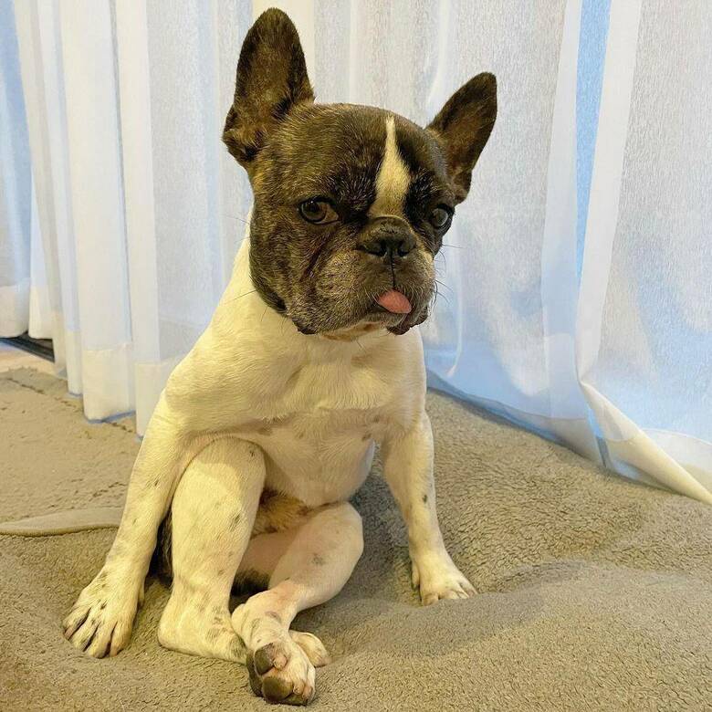 提供：丸男さん