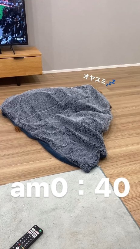 提供：関口和也さん