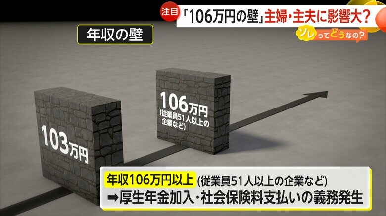 従業員51人以上の企業の場合、社会保険料を支払う義務が生まれる「106万円の壁」