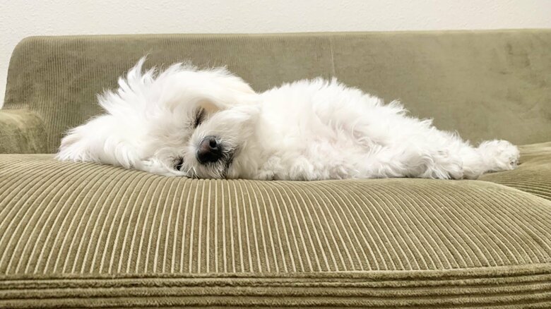 幸せでいてくれるよう、これからも見守っていく