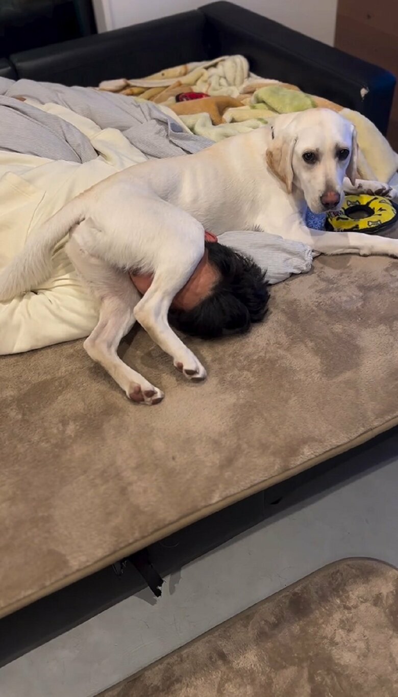 旦那さんの顔を後ろ足で挟む！