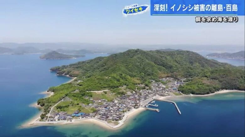 尾道市の離島・百島
