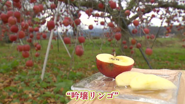 こだわりの吟醸リンゴ