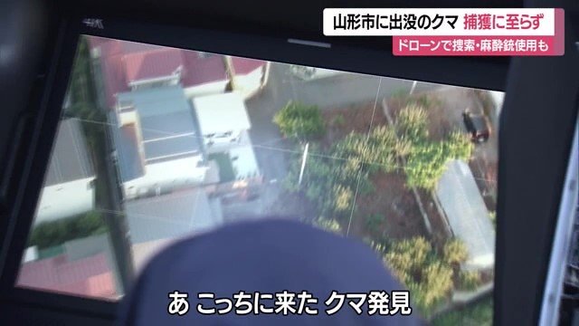 ドローンから送られた映像をモニターで確認し、クマの姿を視認