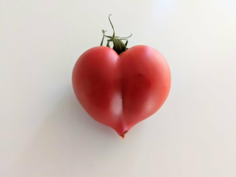 ハートの可愛らしいトマト