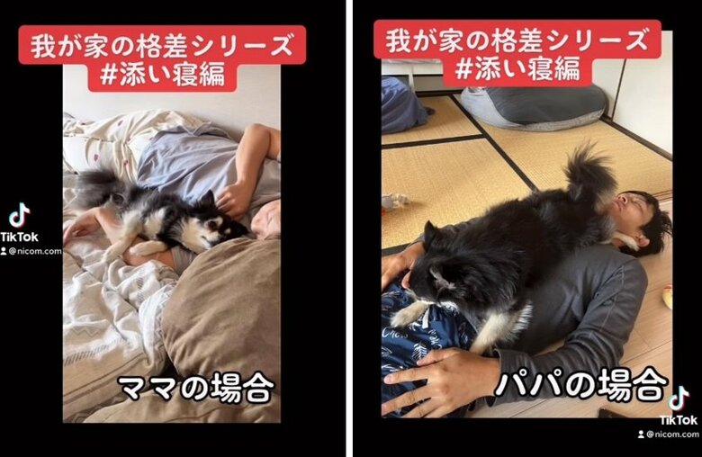 パパとの添い寝は「乗っかり」スタイルなさすけくん