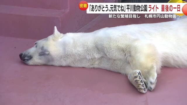 最終日もマイペース