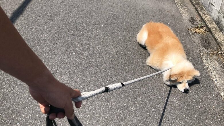 道端で止まってしまうこともある