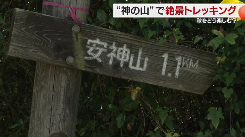 山歩き＝トレッキングを体験