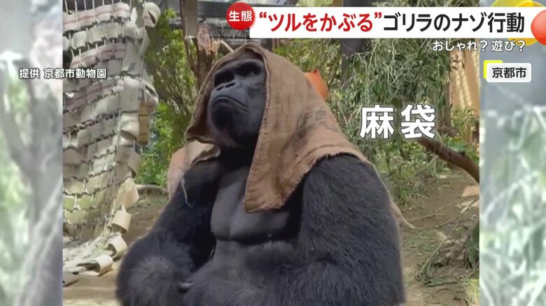 麻袋をかぶるモモタロウ