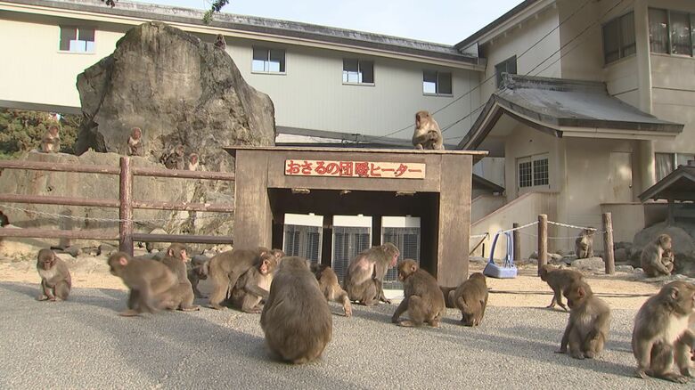 高崎山自然動物園
