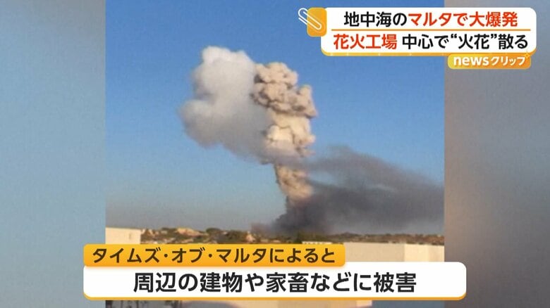 周辺の建物や家畜などに被害が出た爆発（LOVIN MALTA）