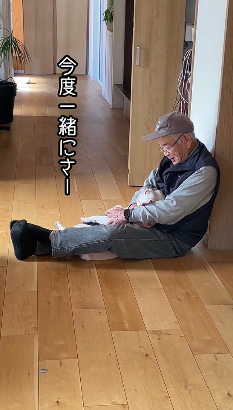 ブン太くん「今度一緒にさー」