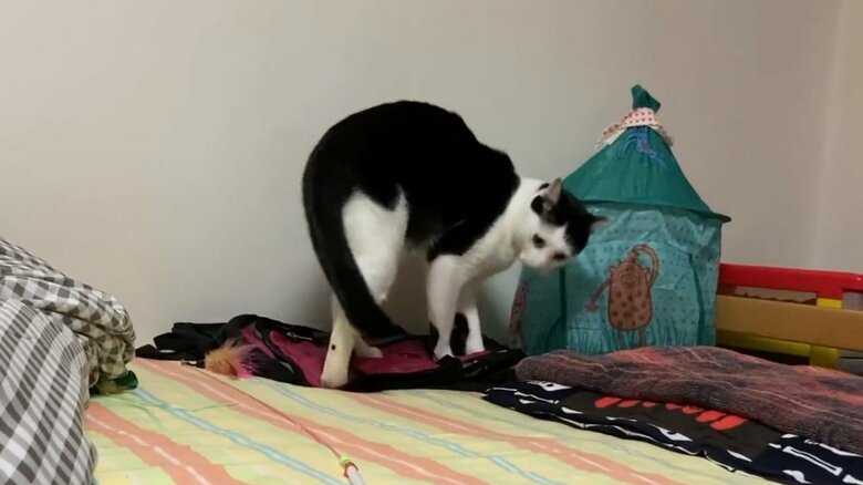 勢いよく立ち上がった