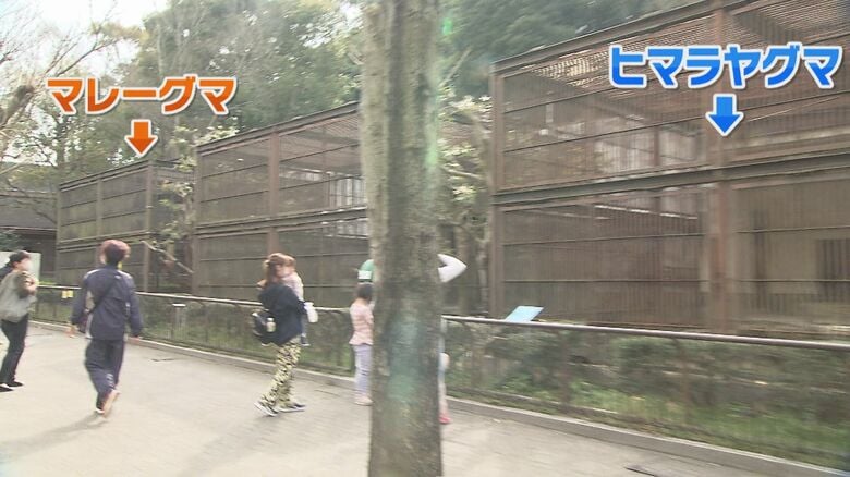 南はマレーグマから…