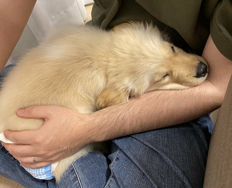 腕の中でぐっすり