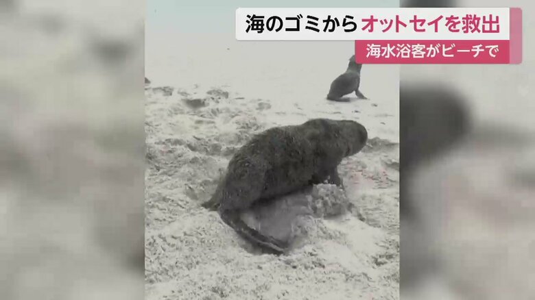 Instagram @Jamessuter / BlackBeanProductions