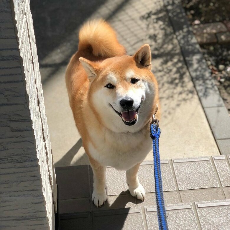 きゅるんとした表情