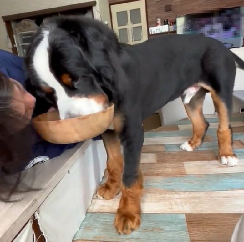 距離がとても近い！