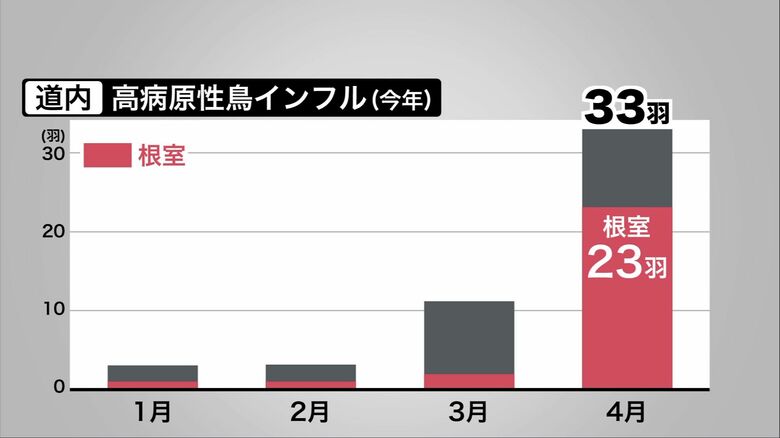 高病原性鳥インフルエンザウイルスの感染確認が急増