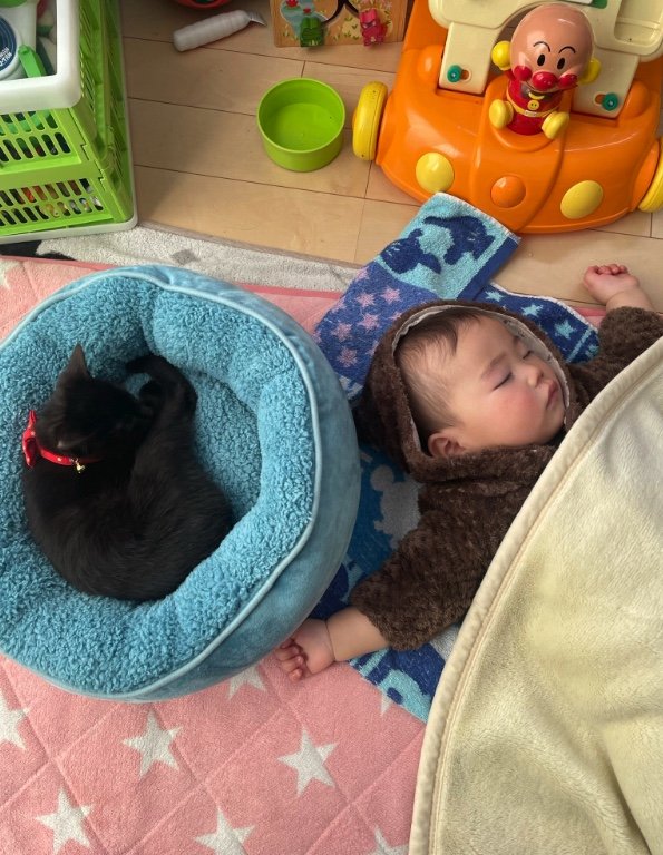 提供：ゴンゾウR4さん