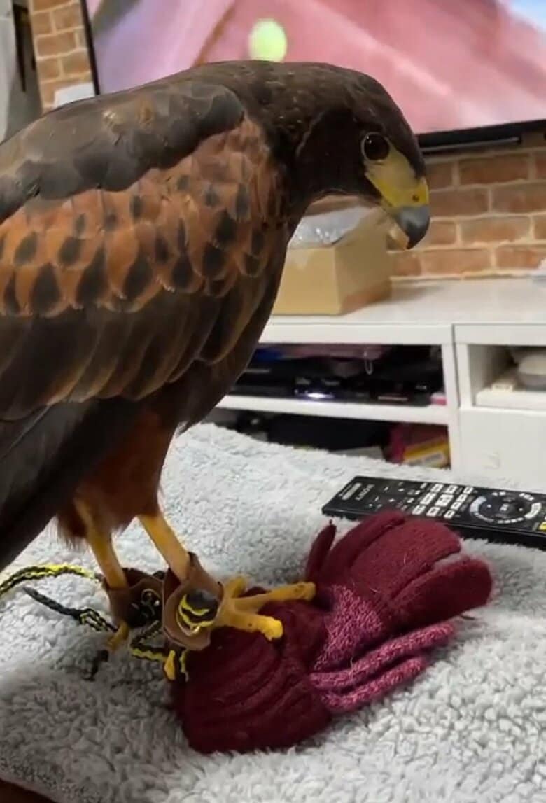 長女さんの手袋をつかんでいる様子