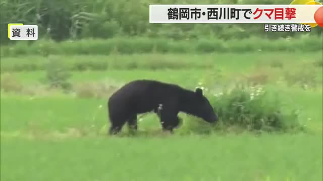 鶴岡市・西川町でクマ目撃…コミュニティセンターや中学校そばに出没　引き続き注意・警戒を　山形