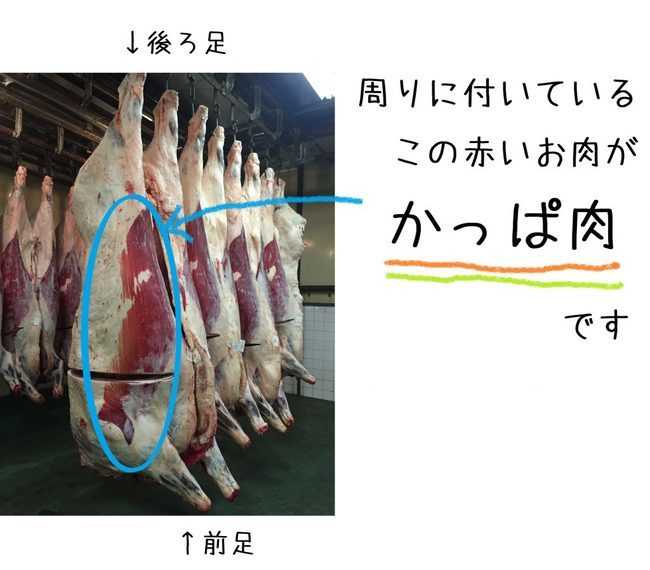 食料品店に売られていた カッパ肉 が話題 あの妖怪の肉 味は美味しい 専門家に聞いた