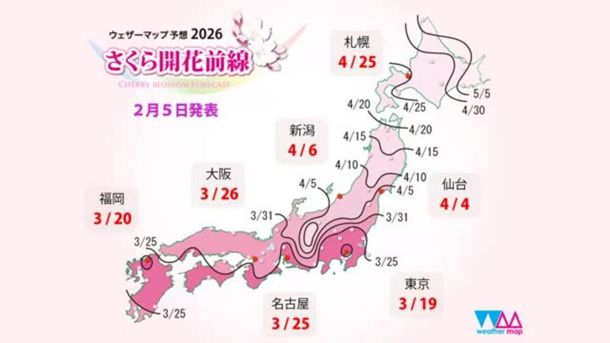 松山市の今年のサクラ開花予想は3月21日 ほぼ平年並み 2月中旬から