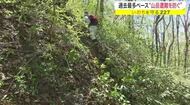 過去最多ペース“山岳遭難”急増　身近な山でも油断しない　命を守る３つのポイント【宮城発】