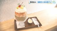 本格的な夏の暑さ到来…涼を求めてかき氷専門店へ！「救世主です！」熱中症対策で『塩』を使ったかき氷も！