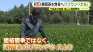 中国産も台頭…「静岡茶」のブランド力向上へ魅力発信！世界的な緑茶ブーム　“共同輸出”や手もみ茶の実演ツアーも
