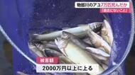 アユ大量死７万匹か　猛暑と渇水の高知・物部川「過去にないこと」被害額２千万円超　漁協が調査
