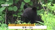 クマ被害防止へ県が研修会開催　自治体・農業・観光関係者ら参加　岩手県