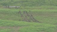 堤防を車で複数回走行か　芝はがされる被害　河川法違反の可能性も　国交省「命を守る大切な堤防傷つけないで」大分発