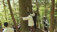 再来年の「御柱祭」へ　長野・伊那市の私有林から初めて「御用材」を選ぶ