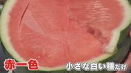 スイカも“種ごと食べられる”時代に！ 栽培成功の裏に『世界で唯一の花粉』技術 海外流出の心配もなし【福岡発】