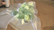 まるでふとん圧縮袋のよう…100円ショップ「セリア」にあった「食品圧縮袋」の実力 料理を時短で便利に