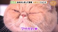 お誕生日♪を迎えた